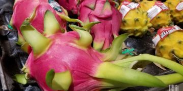 Commentary: Complex supply chain creates a plentiful U.S. food supply