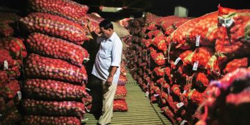 Bring all small warehouses in mission mode for geo-tagging of cold storages: SLCM group CEO Sabharwal