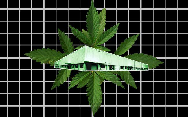 Real estate in states where cannabis use is legal is in high demand compared to states where use is illegal. (Credit: Pixabay)