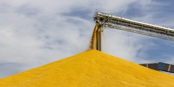 Shipping decarbonization hinges on owners of cargo, not ships