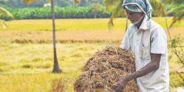 Farmers inform House panel of paddy procurement woes- The New Indian Express
