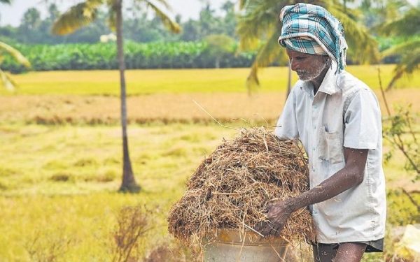 Farmers inform House panel of paddy procurement woes- The New Indian Express
