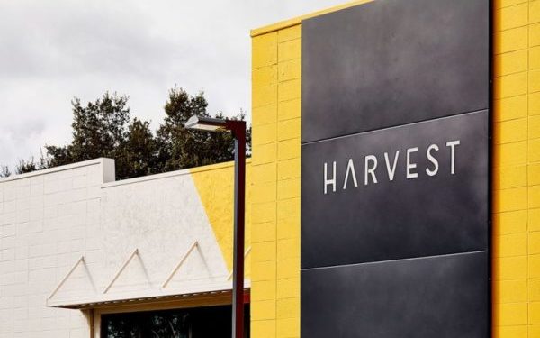 Harvest Health has a huge upside, says AltaCorp Capital