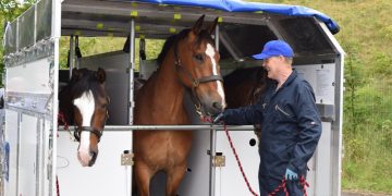 InstoneAir: The mane man – Air Cargo News