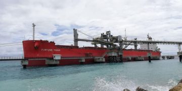Crew members of cargo ship from China do not show flu-like symptoms, says Bohol quarantine officials | News
