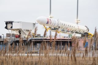 The Northrop Grumman Antares rocket carrying the Cygnus NG-13 spacecraft is lowered into horizontal position at its Mid-Atlantic Regional Spaceport launch site at NASA's Wallops Flight Facility in Wallops Island, Virginia on Feb. 12, 2020. Antares is scheduled to launch Cygnus on a NASA cargo mission on Feb. 14. 