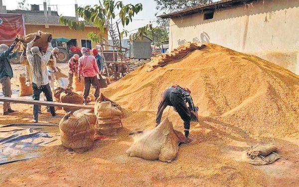 Procurement delay, officials’ aparhy worry for farmers in Jaleswar – The New Indian Express