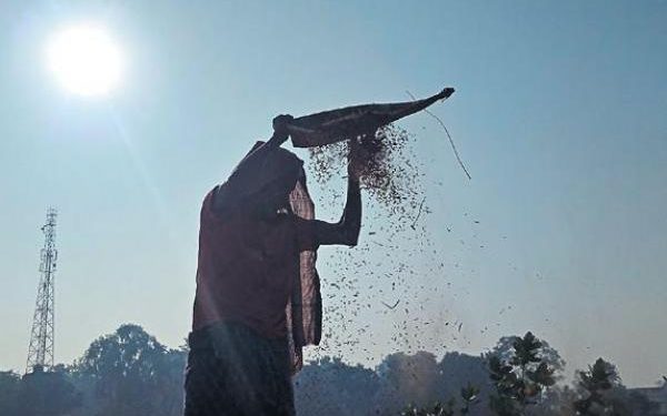 Rain deals a blow to paddy procurement in Odisha’s Kendrapara- The New Indian Express