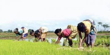 Small agri warehouses must be on board for 100% geo-tagging
