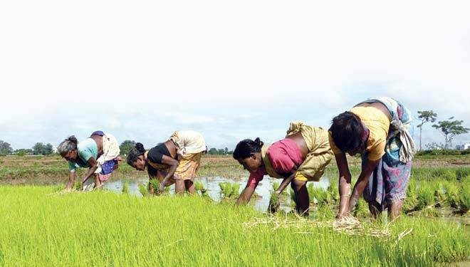 Small agri warehouses must be on board for 100% geo-tagging