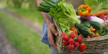 Agri Supply Chain Startup WayCool Bags $35 Mn From Lightbox, FMO