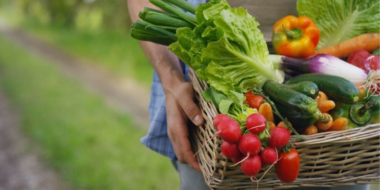 Agri Supply Chain Startup WayCool Bags $35 Mn From Lightbox, FMO