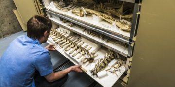 Creating Sustainable Financial Models for Research Collections – American Alliance of Museums