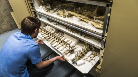 Creating Sustainable Financial Models for Research Collections – American Alliance of Museums