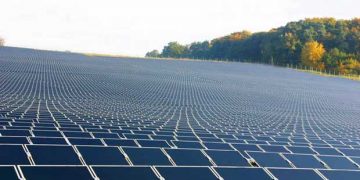 TN Commission Issues Details for Solar Power Procurement by Discoms