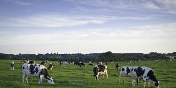 The ‘people and planet impact’ drives Danone’s supply chain overhaul