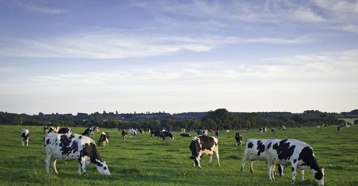 The ‘people and planet impact’ drives Danone’s supply chain overhaul