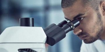 Factors To Consider When Researching Next-Gen Software