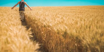 $6m invested in ‘disruptive’ Aussie supply chain blockchain