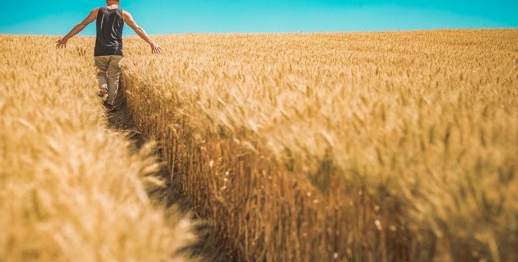 $6m invested in ‘disruptive’ Aussie supply chain blockchain