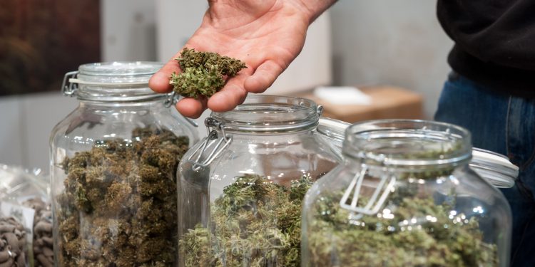How marijuana legalization disrupted this e-commerce startup’s supply chain