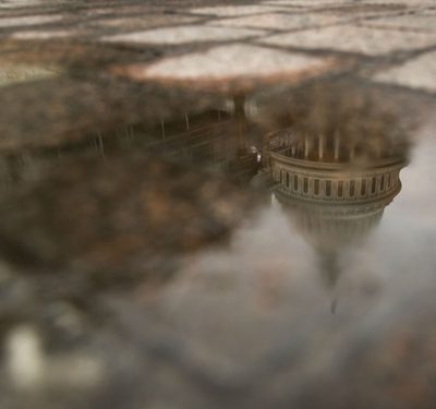 Transparency in the Trump Era
