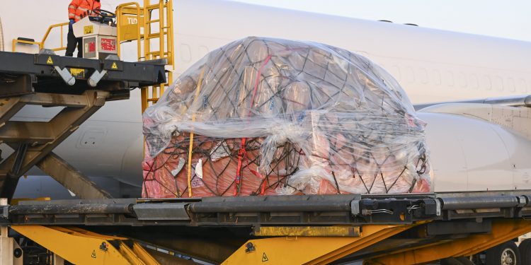 Freight disruptions significantly delay vital coronavirus supplies