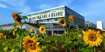 How developers in the Netherlands are addressing the climate crisis | News