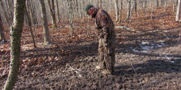 Agencies, partners, volunteers work to combat invasive species in Missouri