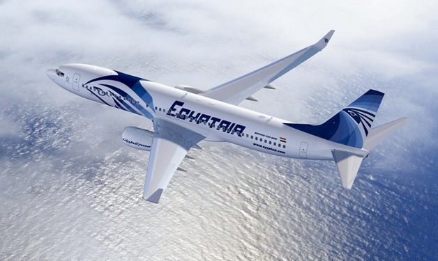 Suspension of Egypt’s air traffic does not include domestic, cargo flights: Min.