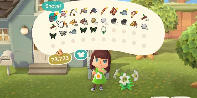 Animal Crossing: New Horizons — Increase Inventory Space Guide