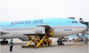 Korean Air Begins to Use Passenger Planes for Cargo Transportation – 비즈니스코리아