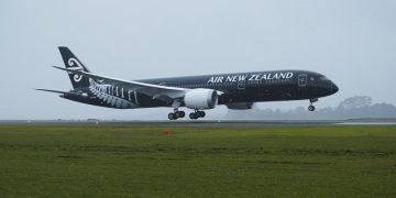 Air New Zealand focuses on cargo | News