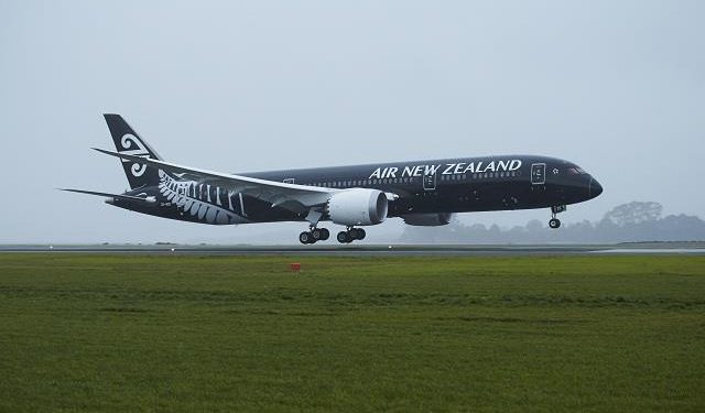 Air New Zealand focuses on cargo | News