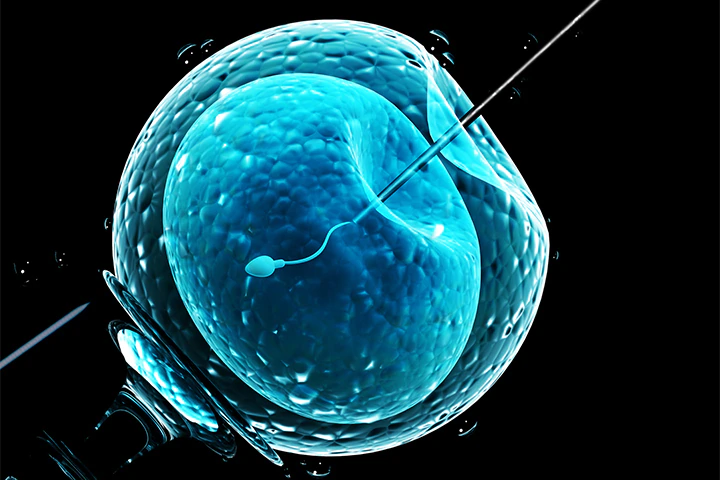 Ethics Consult: Posthumous Sperm Procurement? MD/JD Bangs Gavel
