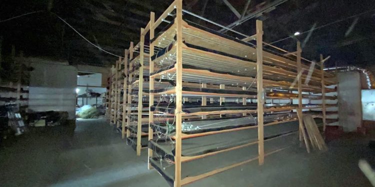 Authorities uncover marijuana operation inside empty warehouse