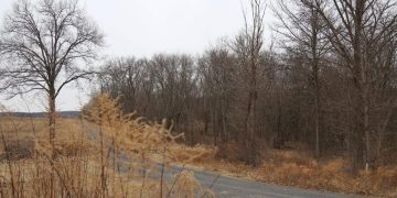 Massive warehouse proposal may lead to moratorium – News – recordonline.com