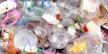 Hurdles of hemp plastic – Boulder Weekly