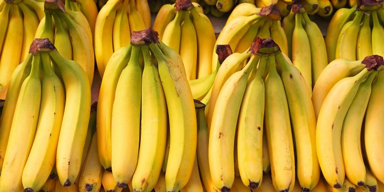 Banana exports from Ecuador expect challenges