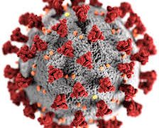 Coronavirus: Nigeria goes against the tide, exports back to China