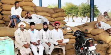 Distress sale of mustard in Haryana as govt. yet to start procurement