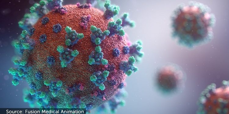 EMA monitors the coronavirus impact on the supply chain