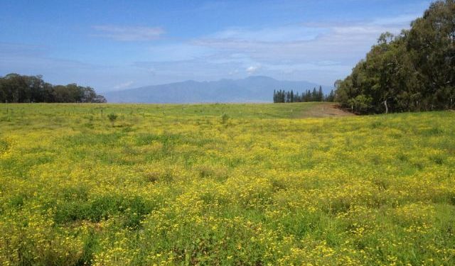 Department of Agriculture Aims to ʻMaintain Critical Servicesʻ
