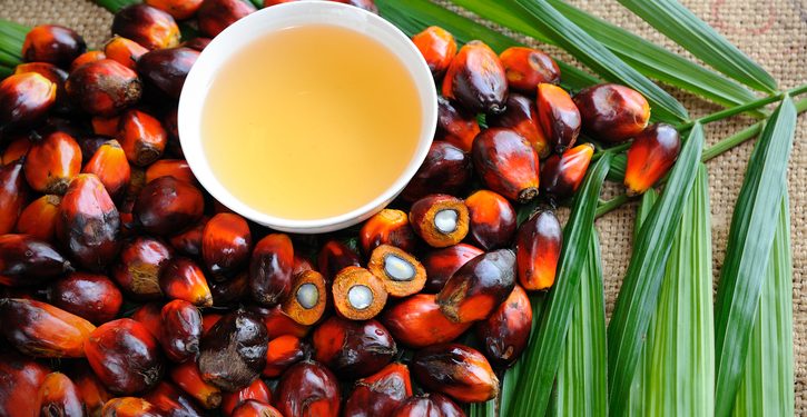 Kellogg removes sustainable palm oil credits in effort to improve supply chain transparency