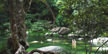 NEWSPORT DAILY-More ecotourism success for Douglas Shire