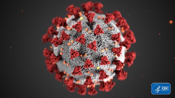 The structural makeup of coronaviruses is shown in an illustration created by the CDC.