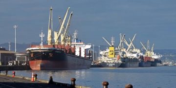 Covid 19 coronavirus: New measures at Port of Tauranga for urgent cargo