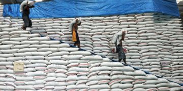 Rice inventory increases 10.9% in February