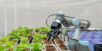 What are the Future Growth