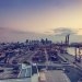 Wallenius Wilhelmsen Sees COVID-19 Causing 20% Q1 Decline in Freight Volume